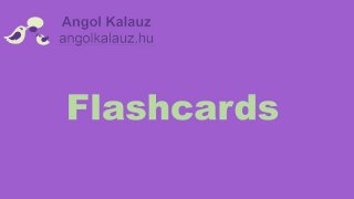 Family & Relationships flashcards