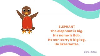 13 elephant