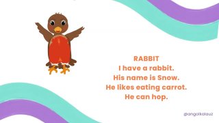 10 rabbit